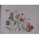 Yeats (Elizabeth Corbet). Brushwork Studies of Flowers, Fruit, and Animals for Teachers and Advanced