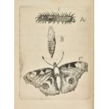 Goedaert (Johannes). Metamorphosis et Historia Naturalis Insectorum, volume 1 only (of 3),
