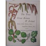 Elwes (Henry John & Henry, Augustine ). The Trees of Great Britain and Ireland, volumes 1-6 (of