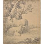 *Morland (George, 1763-1804). Sheep at rest by a tree, black chalk on paper, laid down on card,