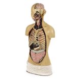 *Mannequin. A 1930s medical anatomical mannequin, composite construction with detachable parts all