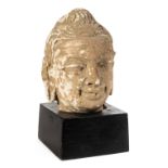 *Buddha. An ancient Sino-Tibetan terracotta head of Buddha, well modelled with elongated earlobes,