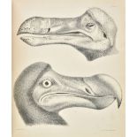 Strickland (Hugh Edwin, & Alexander Gordon Melville). The Dodo and its Kindred; or the History,