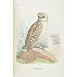 Heuglin (Martin Theodor von). Ornithologie Nordost-Afrika's, der Nilquellen- und Ksten-Gebiete