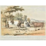 *Underwood (Thomas). Prize cattle shewn at the Birmingham and Midland Counties Exhibition 1849,