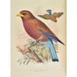 Dresser (Henry Eeles). A Monograph of the Coraciidae, or Family of the Rollers, 1st edition,