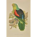 *Parrots. Greene (W.T.), A collection of seventeen prints [1884 - 1887], seventeen colour