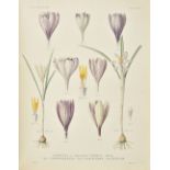 Maw (George). A Monograph of the Genus Crocus, 1886, half-title, double-page coloured map, eighty-