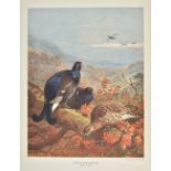 Millais (John Guille). THe Natural History of British Game Birds, 1st edition, Longmans, Green and