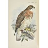 Sclater (Philip Lutley, & William Henry Hudson). Argentine Ornithology. A Descriptive Catalogue of