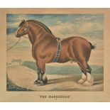 *Clydesdale Horse. The MacGregor, circa 1860, chromolithograph, 370 x 425 mm, framed and glazed in a