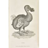 Shaw (George). Zoological Lectures Delivered at the Royal Institution in the Years 1806 and 1807,