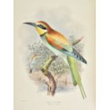 Dresser (Henry Eeles). A Monograph on the Meropidae, or Family of the Bee-Eaters, 1st edition, by
