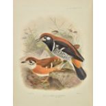 Seebohm (Henry). A Monograph of the Turdidae. Or Family of Thrushes, edited and completed (after the