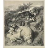 *Landseer (Thomas). Sheep and sheep dogs, circa 1860, uncoloured mixed method engraving after