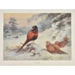Thorburn (Archibald). Game Birds and Wild-Fowl of Great Britain and Ireland, 1923