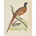 Morris (Beverley). British Game Birds and Wildfowl, 1864