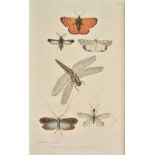 Kirby (William & Spence, William). An Introduction to Entomology, 4 volumes, mixed editions