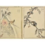 Bunrei (Maekawa, 1837-1917). Studies of Birds and Plants by Bunrei