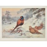 Thorburn (Archibald). Game Birds and Wild-Fowl of Great Britain and Ireland. 1923