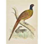 Morris (Beverley R.) British Game Birds and Wildfowl, 1st edition, 1855