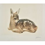 * Meyer-Eberhardt (Kurt, 1895-1977). Young Roe Deer and Young Donkey