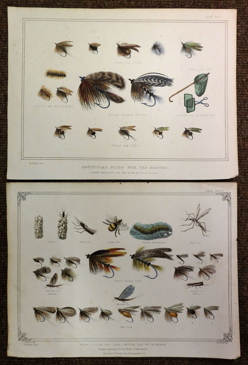 * Dogs & Natural History. A mixed collection of approximately 400 prints, 19th & 20th century