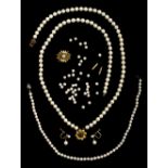 * Necklace. A Continental pearl necklace with 14K gold clasp