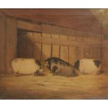 NAIVE SCHOOL, A study of three pigs in a farmyard, oil on canvas, 60cm x 70cm in a chamfered maple