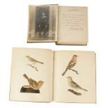 WILLOUGHBY VERNER SCRAP ALBAN,containing hand painted pictures of birds, sailing vessels and others