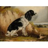 ENGLISH SCHOOL, 19TH CENTURY a small study of a spaniel seated beside a dead bird