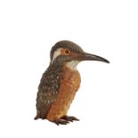 AUSTRIAN COLD PAINTED BRONZE OF A KINGFISHER