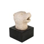 MARBLE SCULPTURE OF DOGS HEAD