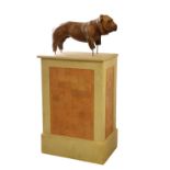 TERRACOTA STANDING BULLDOG FIGURE