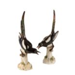 PAIR OF MEISSEN PORCELAIN MAGPIES