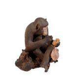 JAPANESE POTTERY FIGURE OF A MONKEY