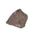 Meteorite Men Expedition 2018 - North Africa NWA XXX Chondrite 560g