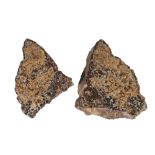 Sericho Meteorite Split Pair - approx. 10Kg
