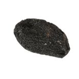 H.H Nininger Collection - 51g Tektite