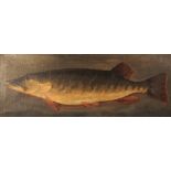 NAIVE SCHOOL, 18TH/19TH CENTURY STUDY OF A PIKE