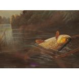 A. ROLAND KNIGHT (FL. 1810-1840) A TROUT BEING HAULED INTO THE LANDING NET