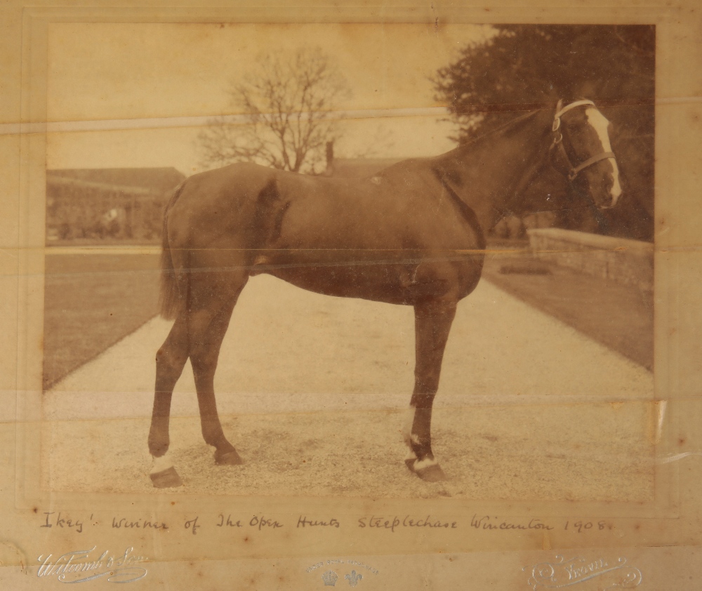 HORSE RACING INTEREST: 'IKEY WINS, WILD SCENE ON THE COURSE, WINCANTON 1908' - Image 2 of 2