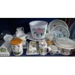A COLLECTION OF PORTMEIRION CERAMICS, to include Botanic Garden and a Clarice Cliff jug (examine)