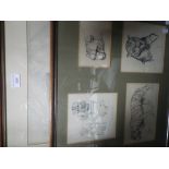 BERYL NEWMAN (TRIST): Four animal studies, including a tiger, pencil study, mounted in one frame