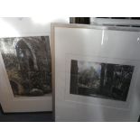 DICKSON: "Jade Woods, Petworth", numbered 16 of 30, and another similar colour process print "Spring