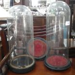 TWO VICTORIAN GLASS DOMES, one 33cm high the other 36cm high and an extra base