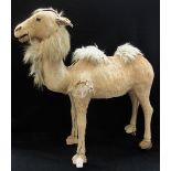 A LARGE VINTAGE TOY PUSH-ALONG CAMEL, covered in real hairy hide, on four castors, 69cm high x