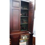 A GEORGE III OAK CORNER CUPBOARD, panelled doors, fitted with shelves, 203cm high