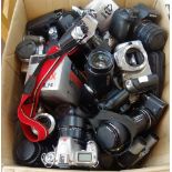 A COLLECTION OF DIGITAL CAMERAS