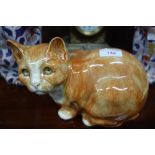 A WINSTANLEY GINGER CAT